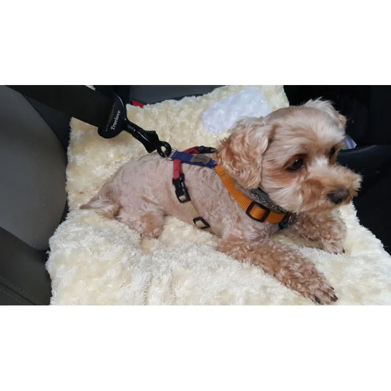 Pet Safety Belt for Dogs - Car Travel Accessories