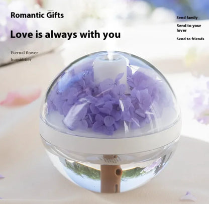 USB Rechargeable Humidifier