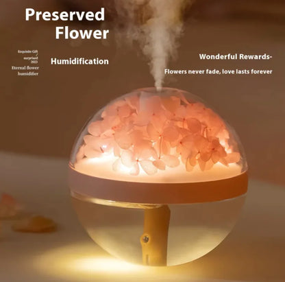 USB Rechargeable Humidifier