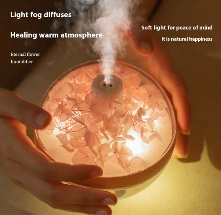 USB Rechargeable Humidifier