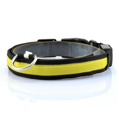 LED Dog Collar with Light Strip for Illumination