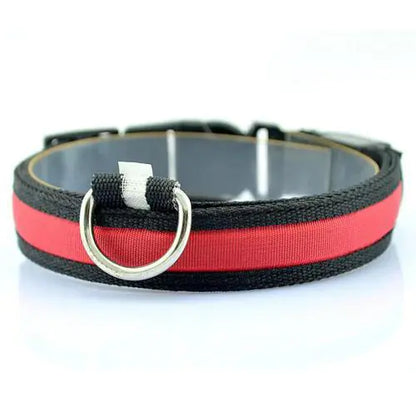 LED Dog Collar with Light Strip for Illumination